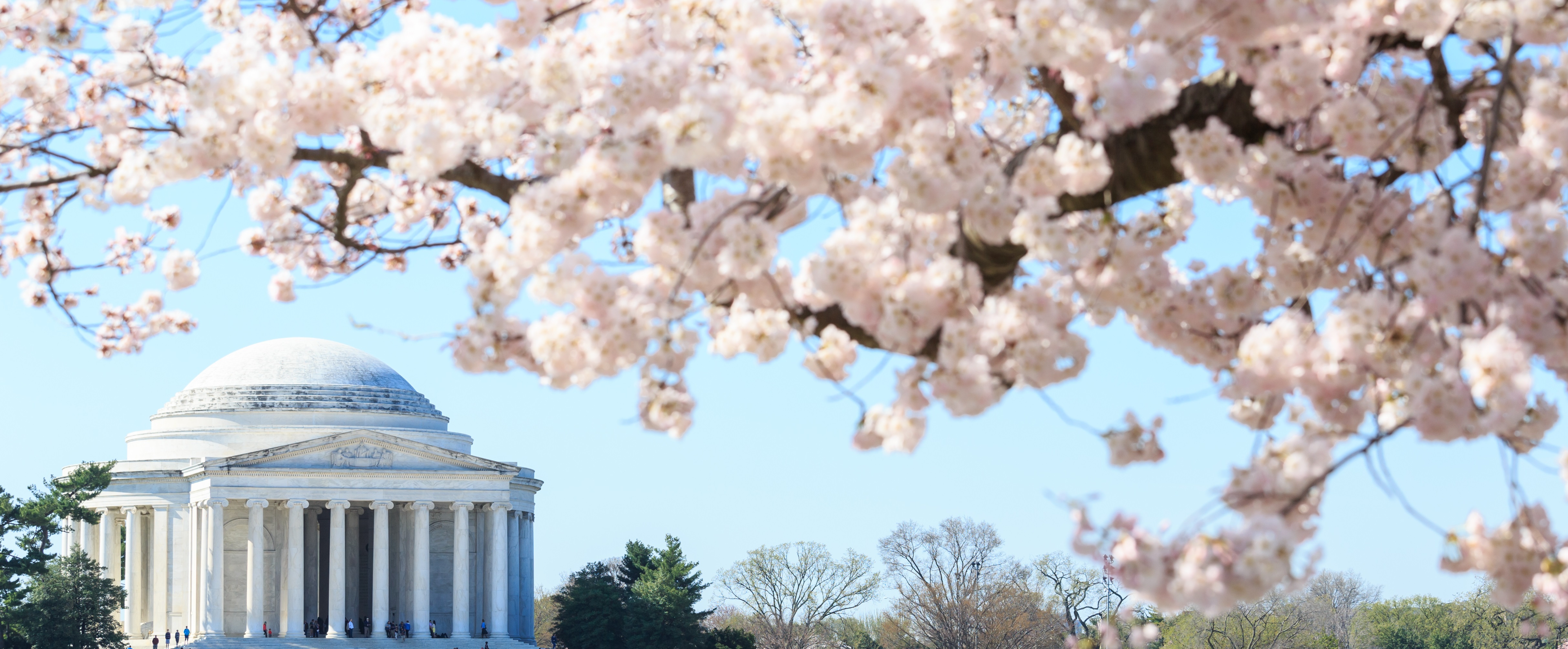 About Us NewView Eye Center Eye Care Reston NewView Eye Center